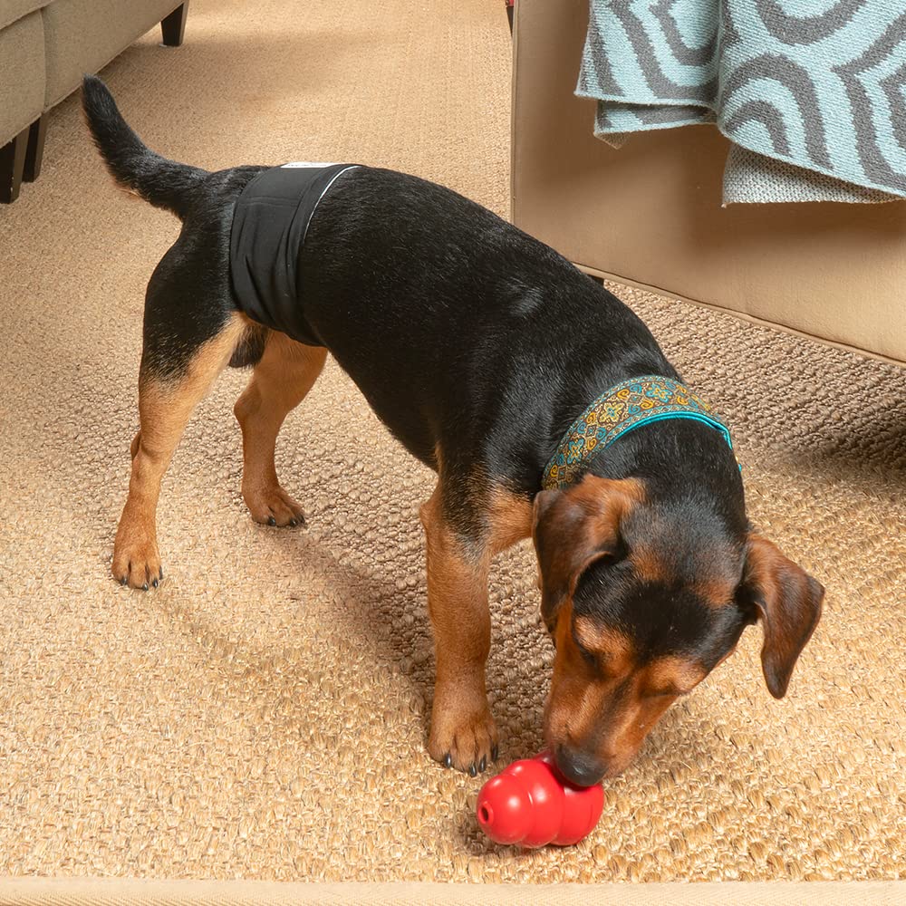 Pet Parents small dog diapers great for puppies and light incontinence