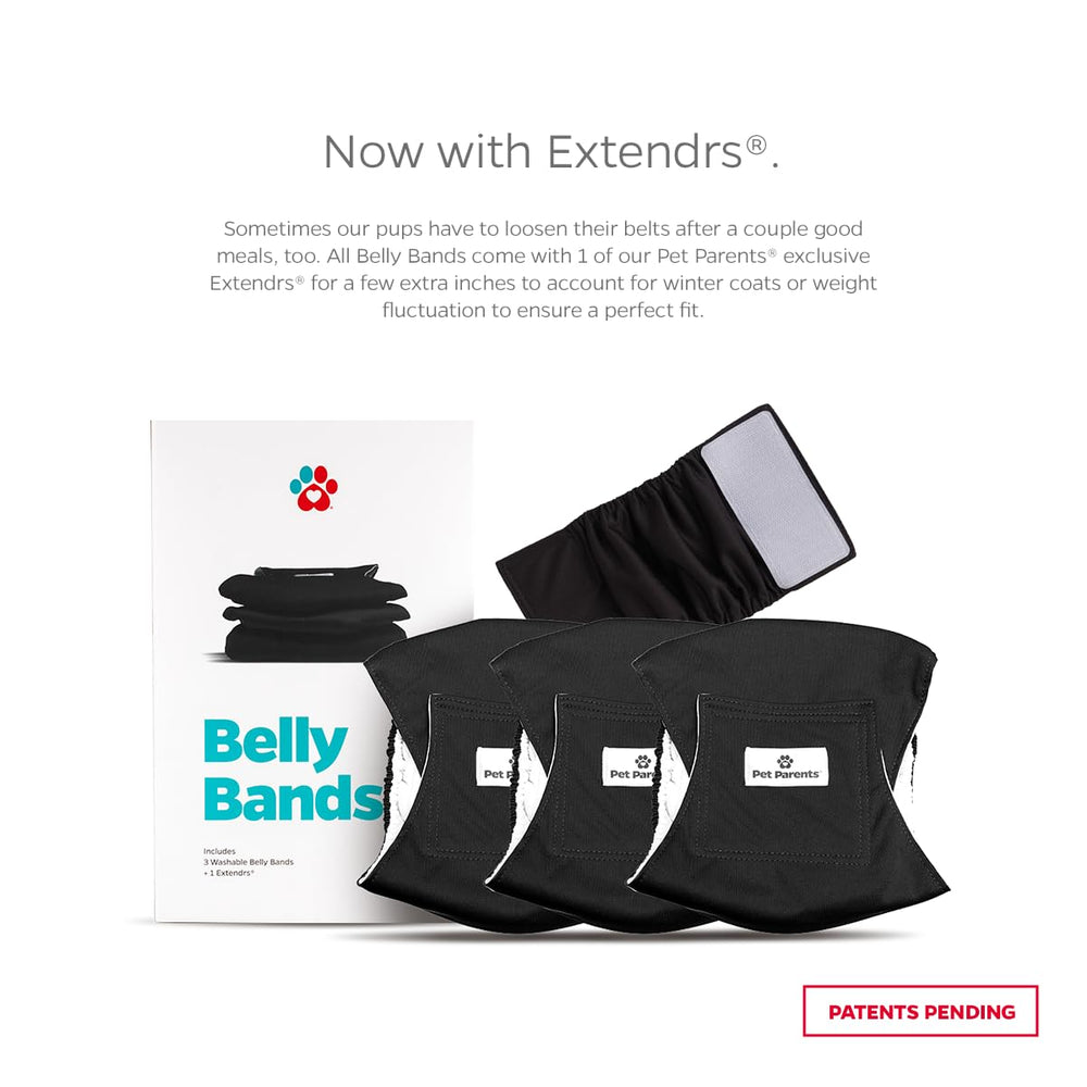 Pet Parents 3-pack belly bands in black, rust, and grey for daily wear