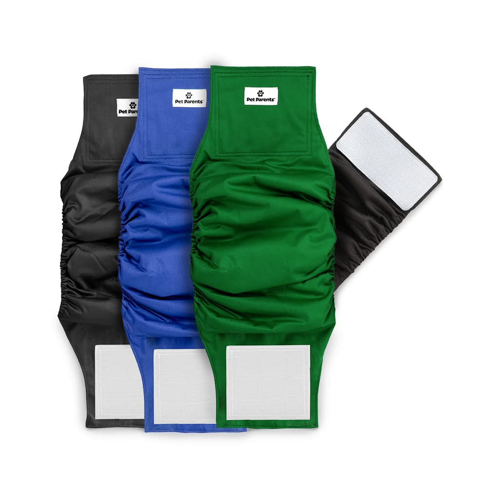Pet Parents Washable Belly Bands large size with waist measure guide for precise fit.