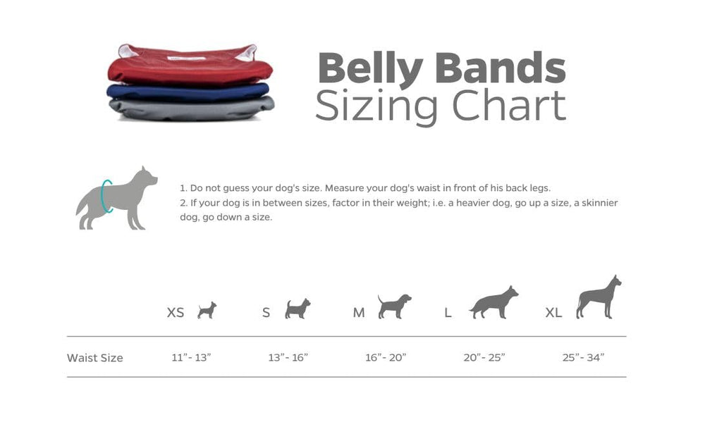 Pet Parents waterproof outer layer protects furniture during accidents.