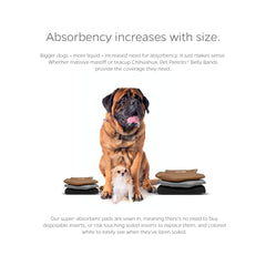 Pet Parents WickQuick absorbent pad draws moisture away