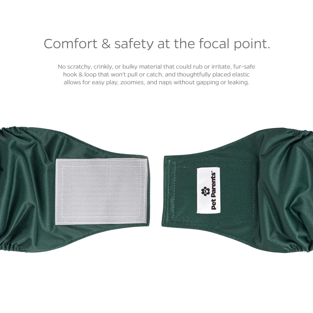 Pet Parents WickQuick absorption diaper pad keeps fur dry and skin comfortable.