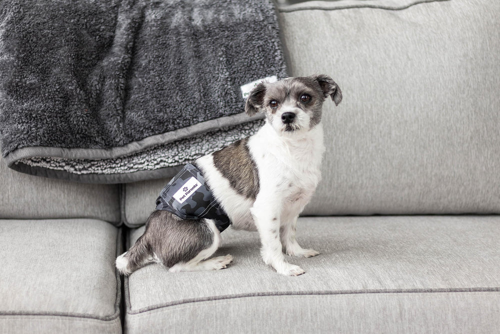 Pet Parents X-Large camo belly bands combine rugged style with reliable protection.