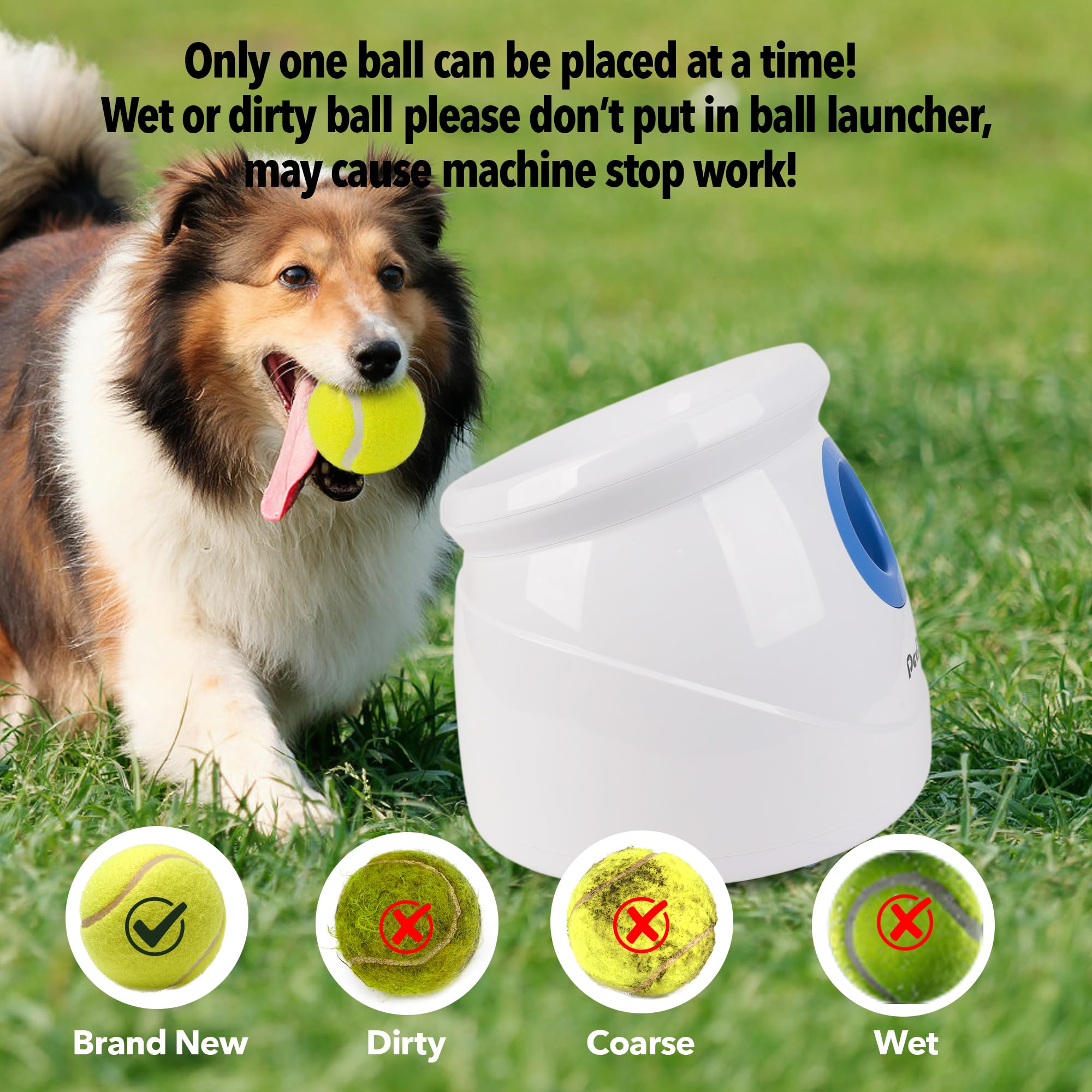 Pet Prime includes six tennis balls for extended play.