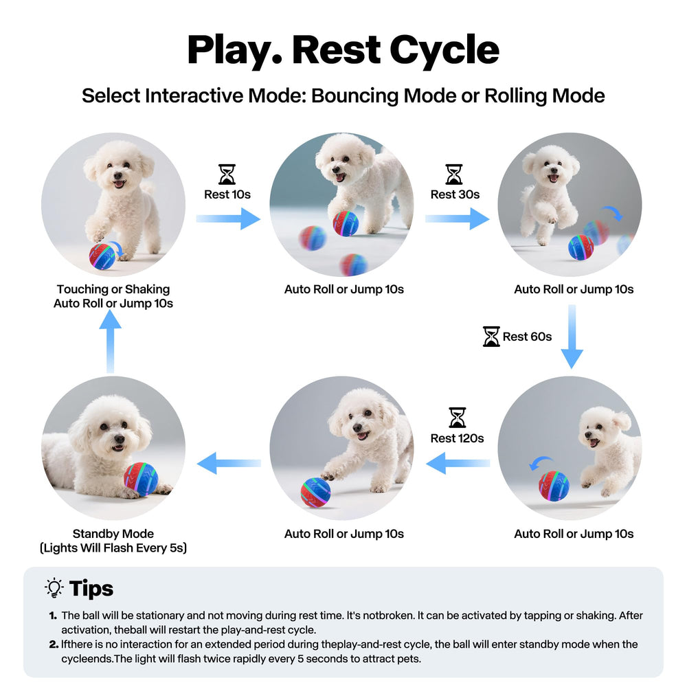 Pet Prime ball durable non-toxic TPU for safe indoor-outdoor use