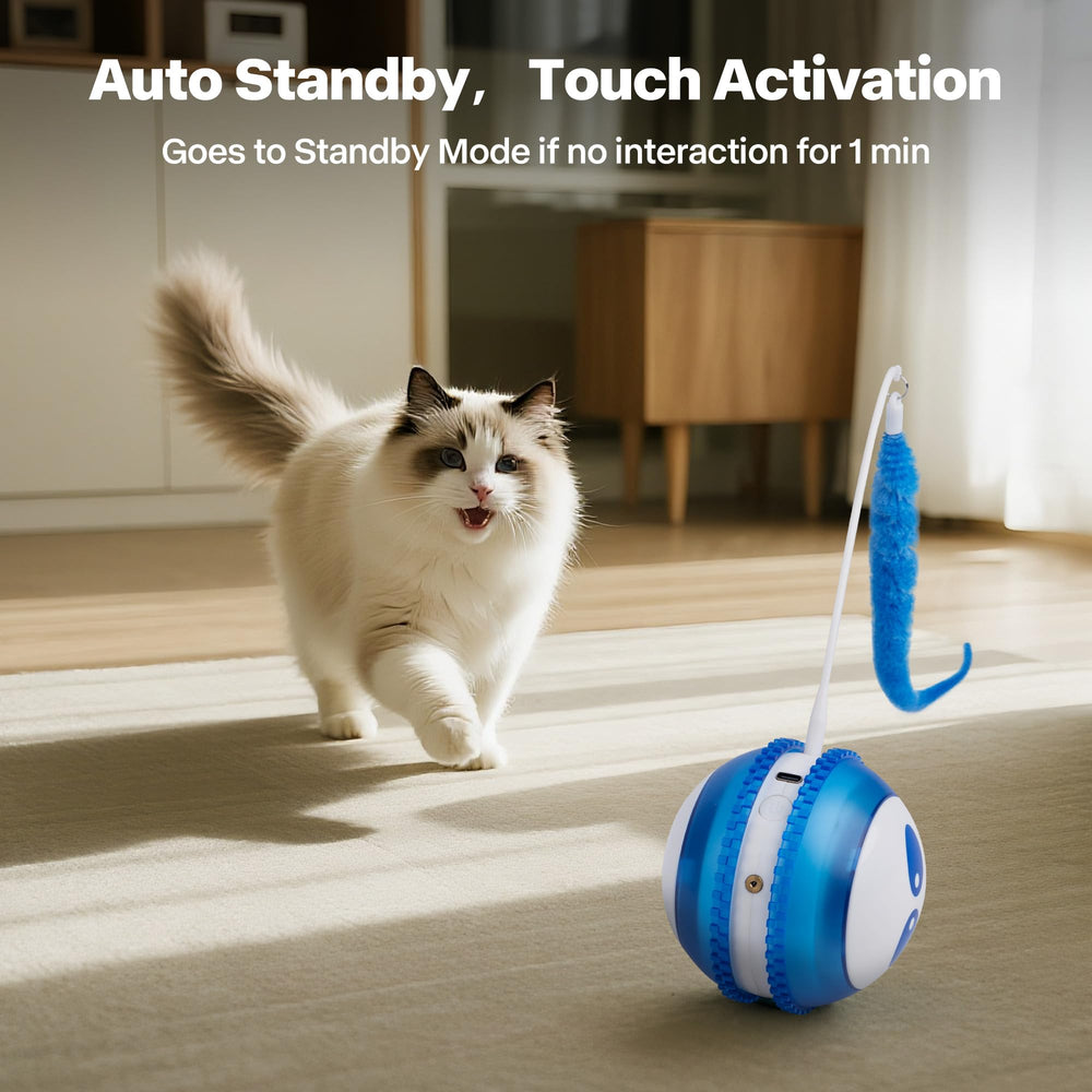 Pet Prime durable ABS material ensures safe indoor play