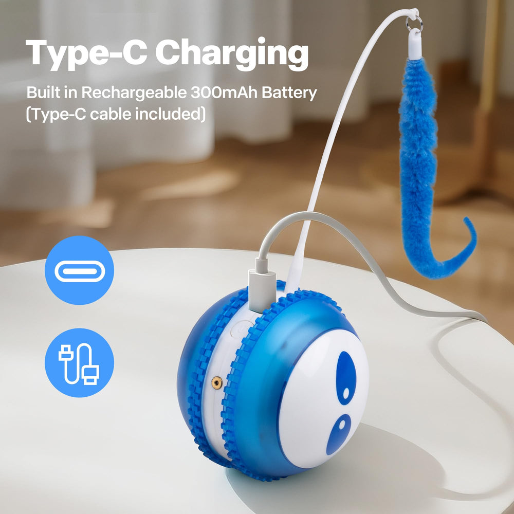 Pet Prime wand with feathers invites interactive teasing