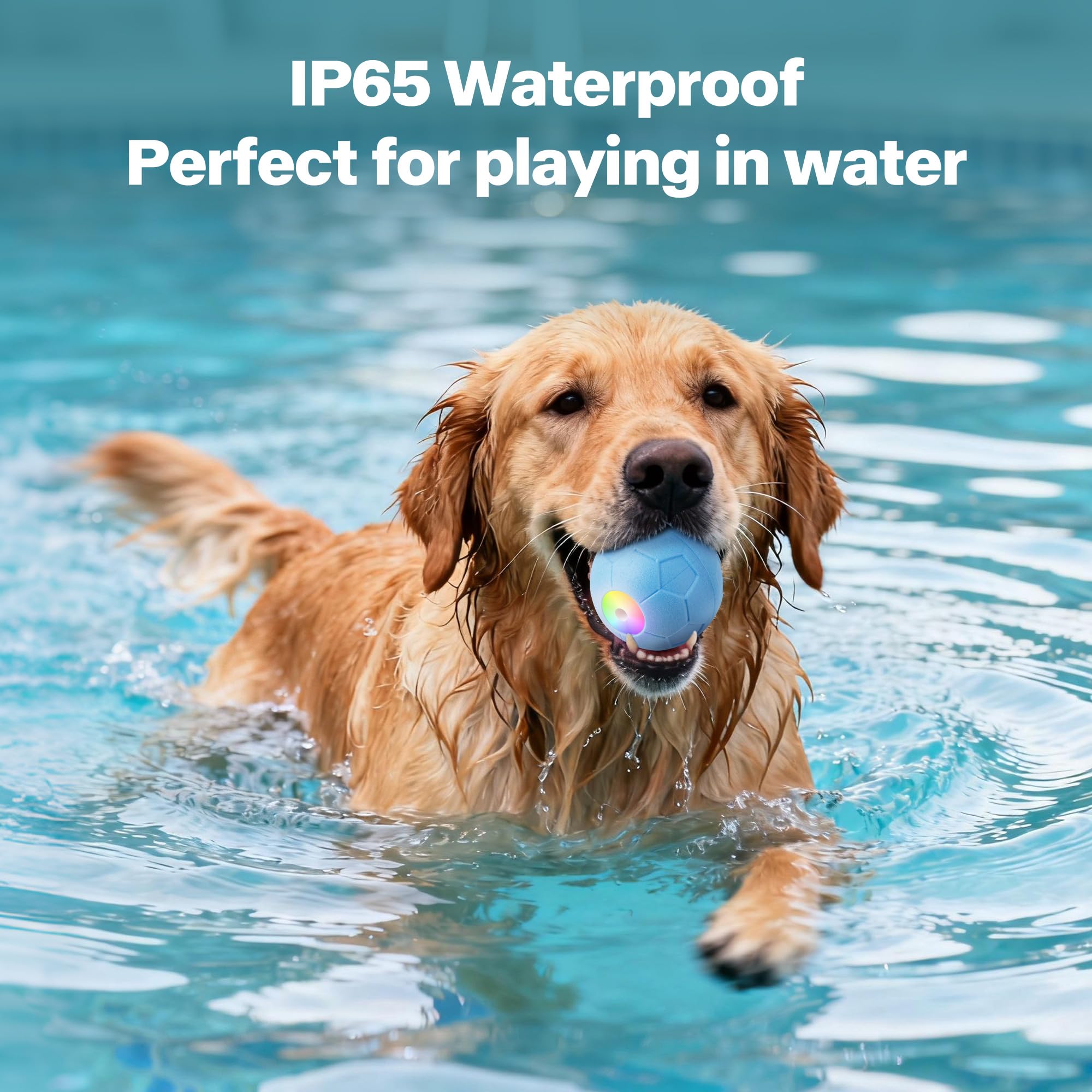 Pet Prime Easy-clean design for rinsing away dirt after play