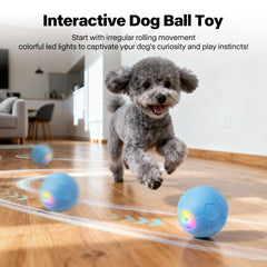 Pet Prime Interactive Dog Ball Toy LED-status highlights for night play