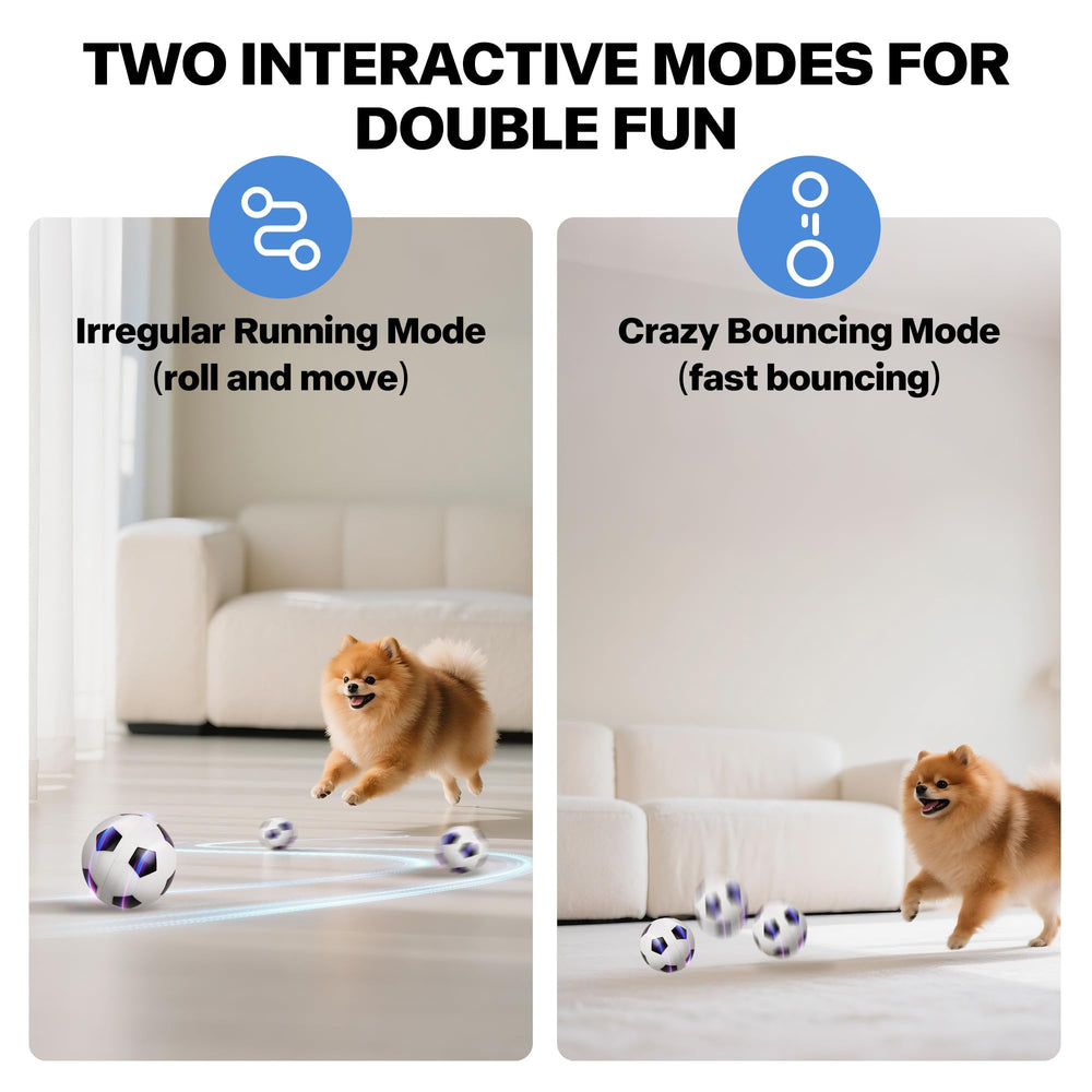 Pet Prime interactive dog ball toy modes display two play options for varied exercise.