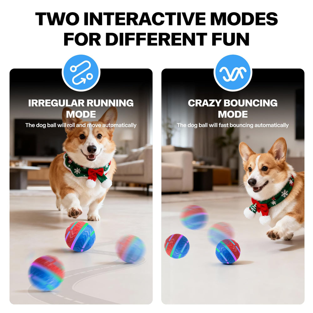 Pet Prime motion-activated ball activates on touch for energetic indoor fetch.