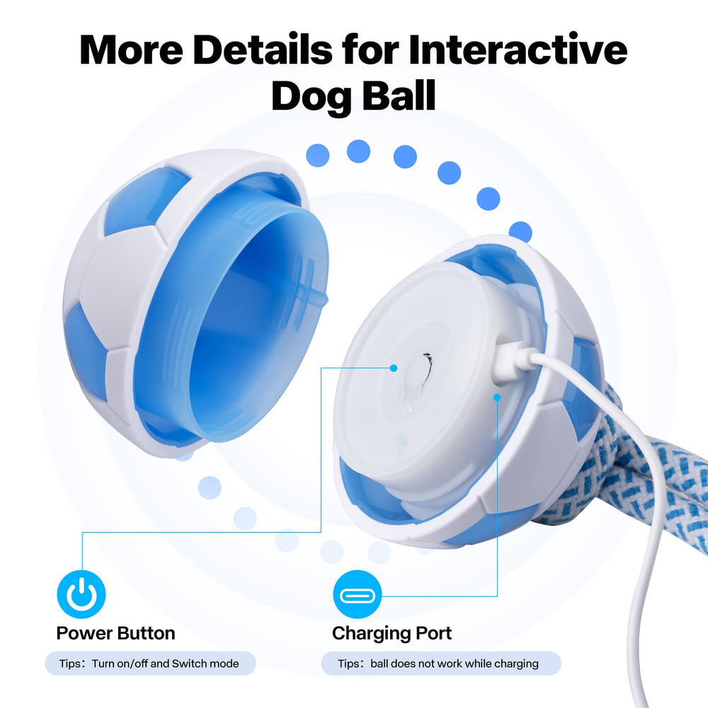 Pet Prime safe, durable materials ensure long-lasting fun under supervision.