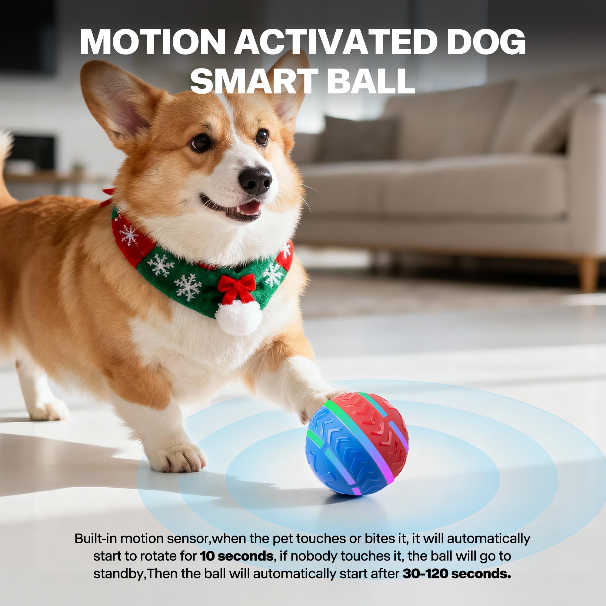 Pet Prime two-play modes ball offers irregular movement and high bounce for dynamic play.