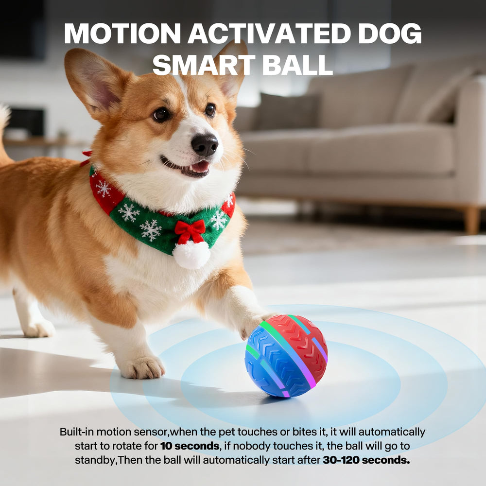 Pet Prime two-play modes ball offers irregular movement and high bounce for dynamic play.
