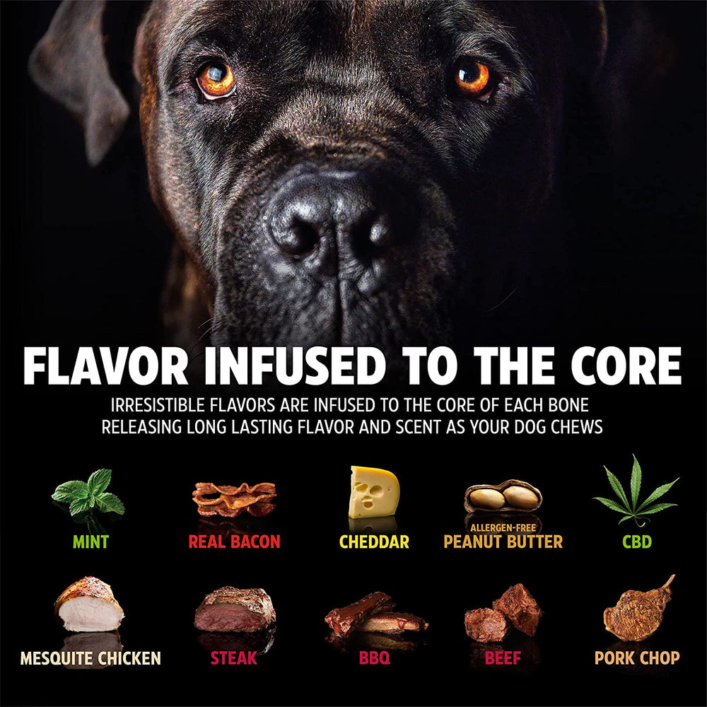 Pet Qwerks BarkBone durable nylon construction withstands powerful chewers.