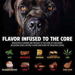 Pet Qwerks BarkBone durable nylon construction withstands powerful chewers.