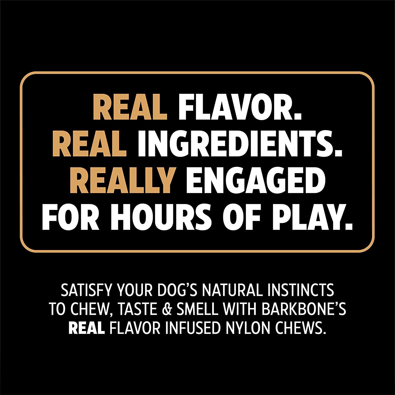 Pet Qwerks BarkBone close-up reveals nubs and knots for textured chewing