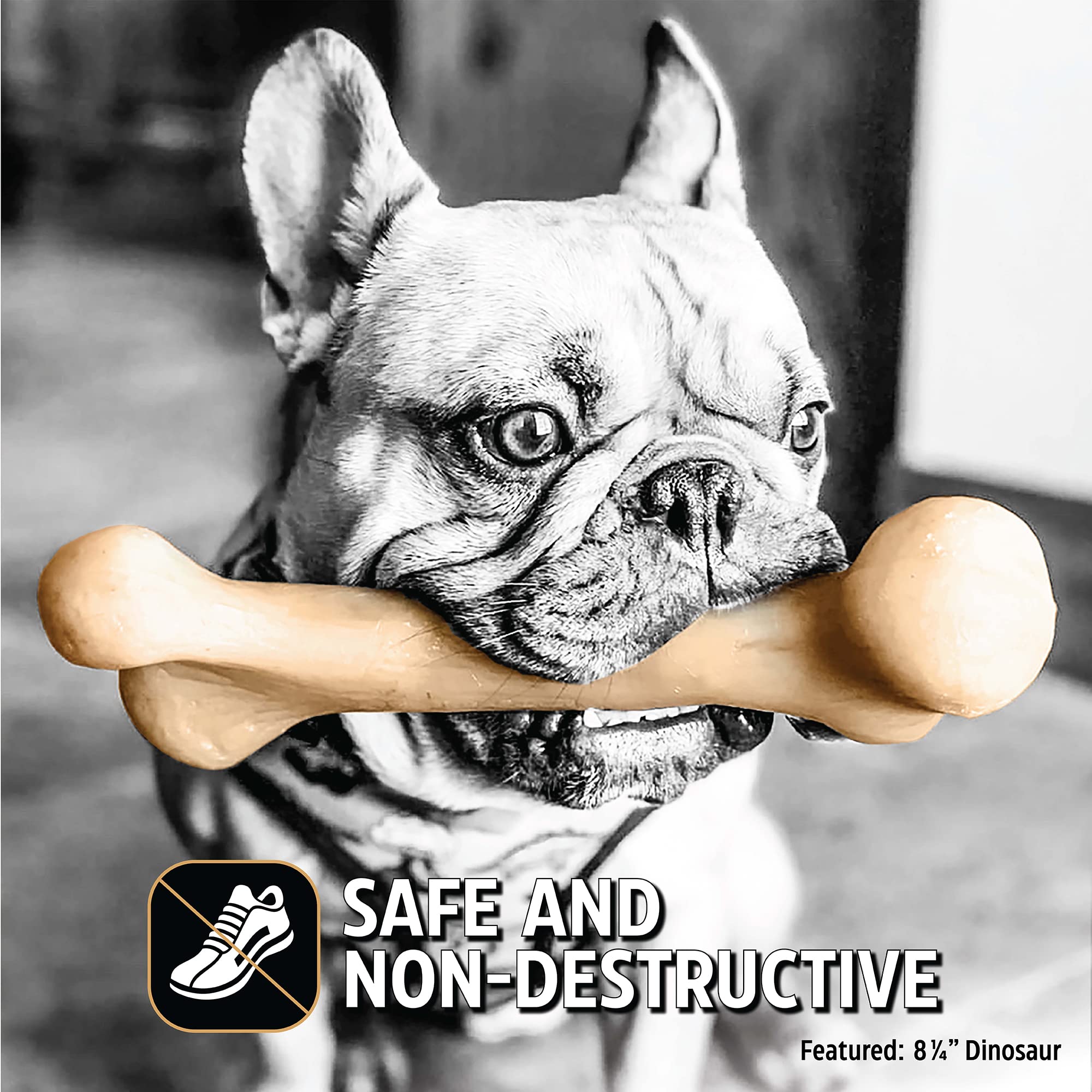 Pet Qwerks Dinosaur BarkBone provides long-lasting flavor during chewing sessions