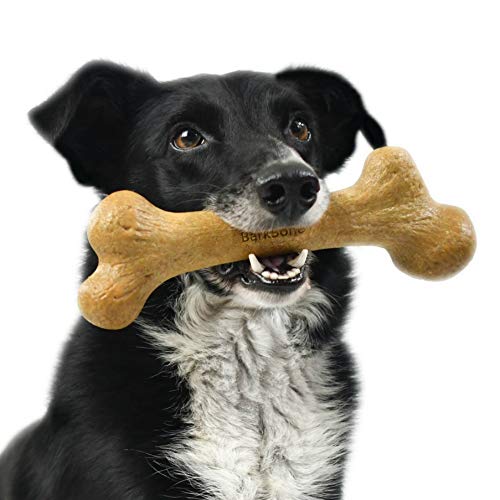 Pet Qwerks Dinosaur BarkBone peanut butter flavor bone for long-lasting taste engagement