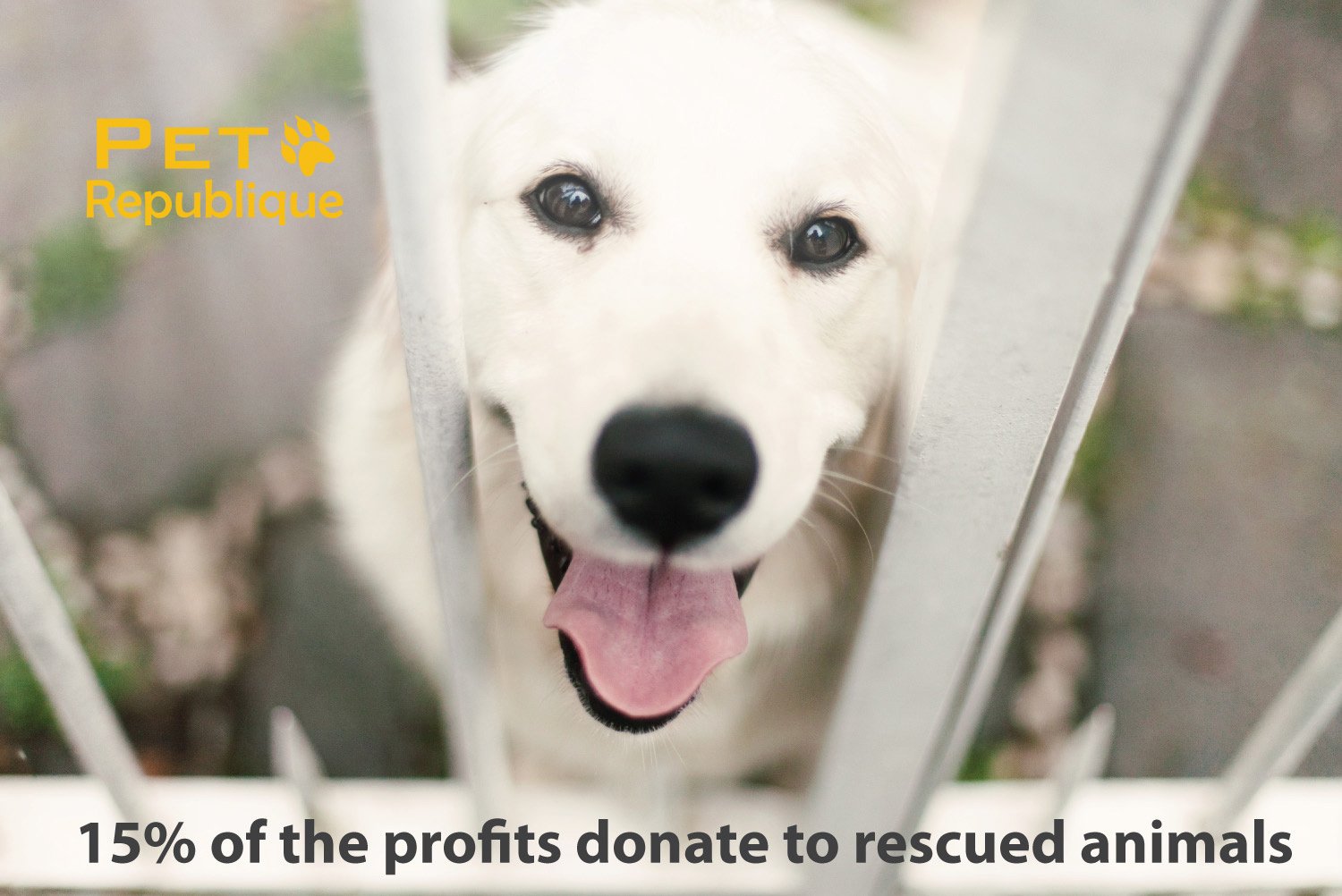 Pet Republique donation-supported product signals shelter aid commitment
