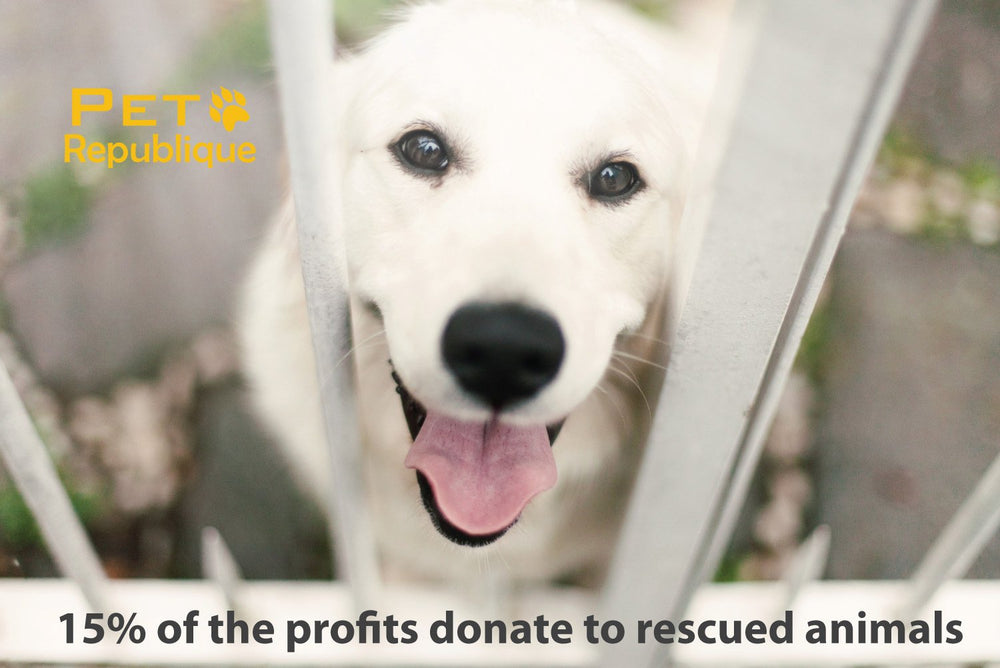 Pet Republique donation-supported product signals shelter aid commitment