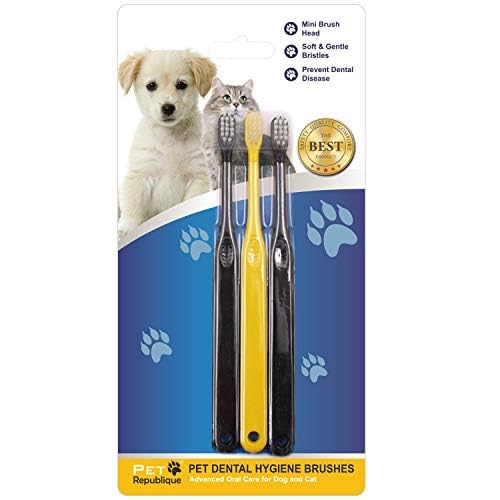 Pet Republique toothbrush small-head closeup for cats and puppies gentle care