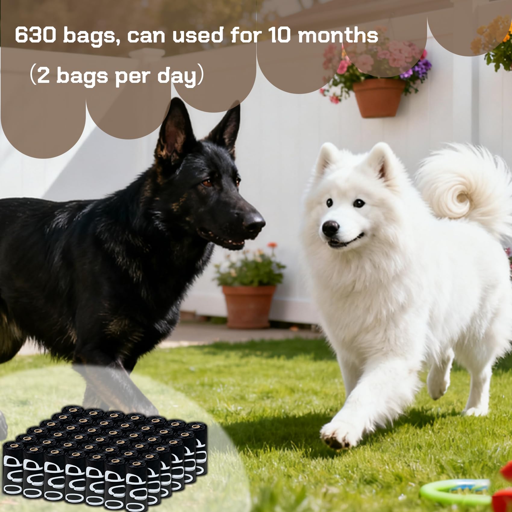 Pet Rhythm uso doméstico diario, limpieza higiénica y ordenada