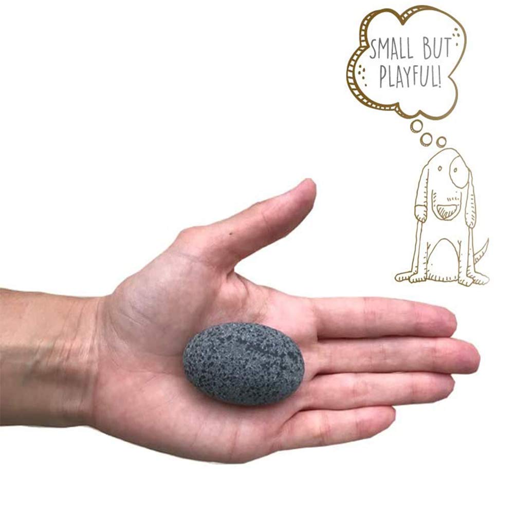 Pet Rock Original playful rock image highlighting low-maintenance companionship