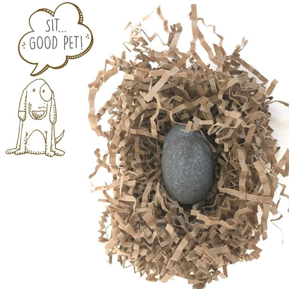 Pet Rock Original travel crate image featuring portable companion for trips
