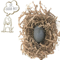 Pet Rock Original travel crate image featuring portable companion for trips
