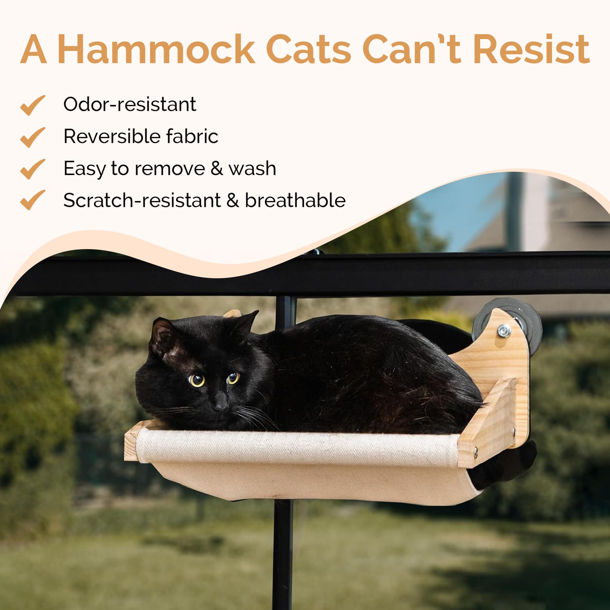 Pet Savvy modern wood cat shelf finish complements chic interiors