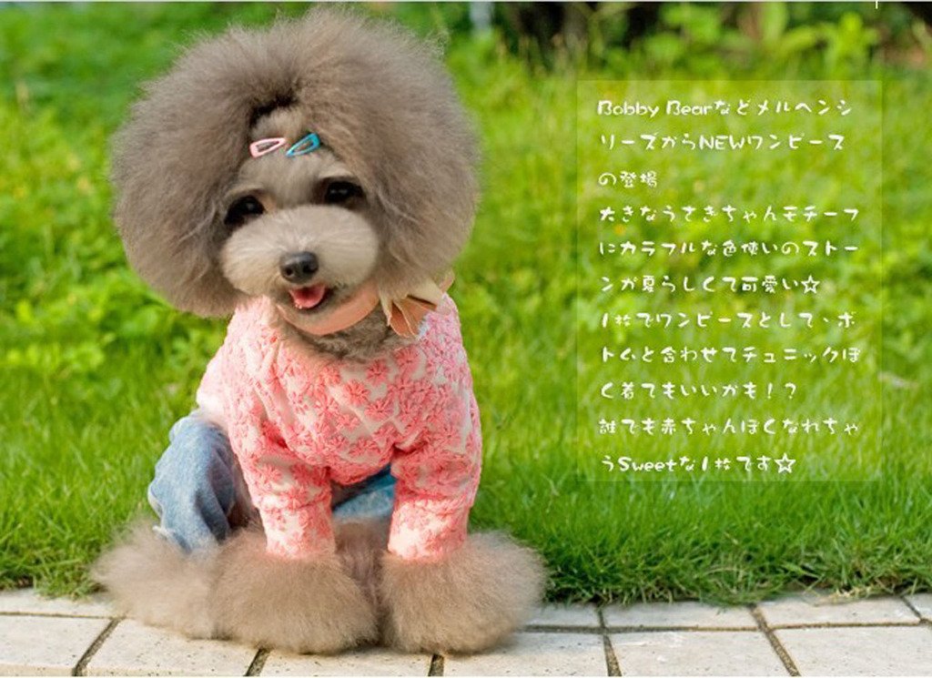 PET SHOW dog, cat, and baby girl clip for versatile occasions.