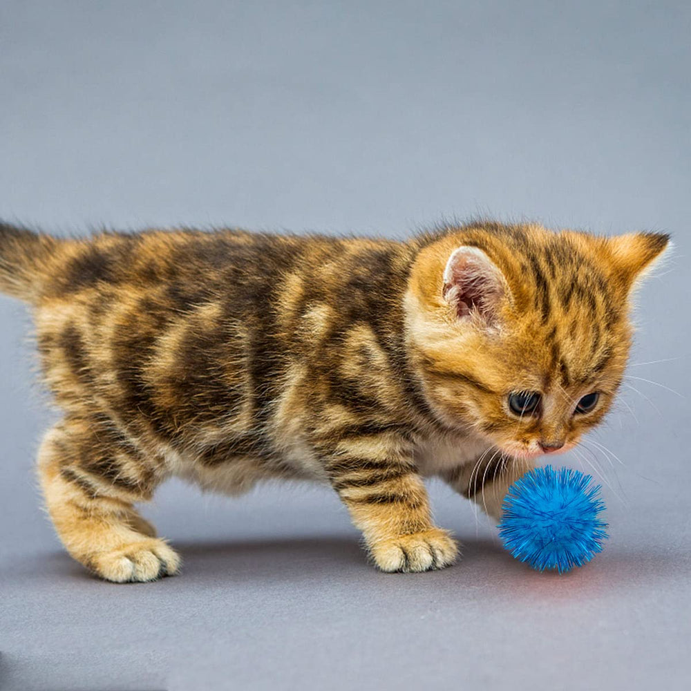PET SHOW cat chase ball encourages active hunting behavior