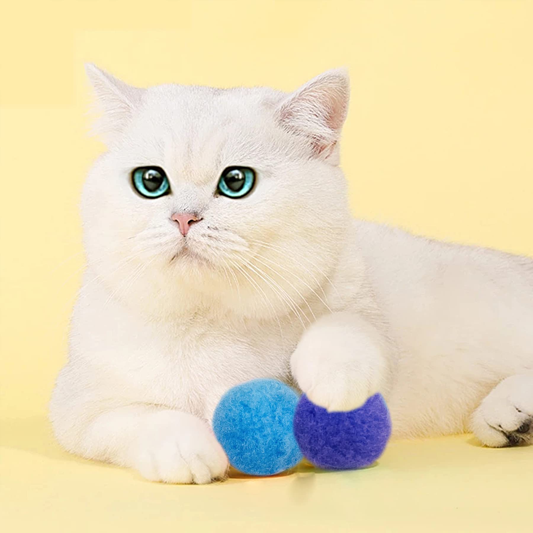PET SHOW cat pompon balls in action for fetch and exercise indoors.