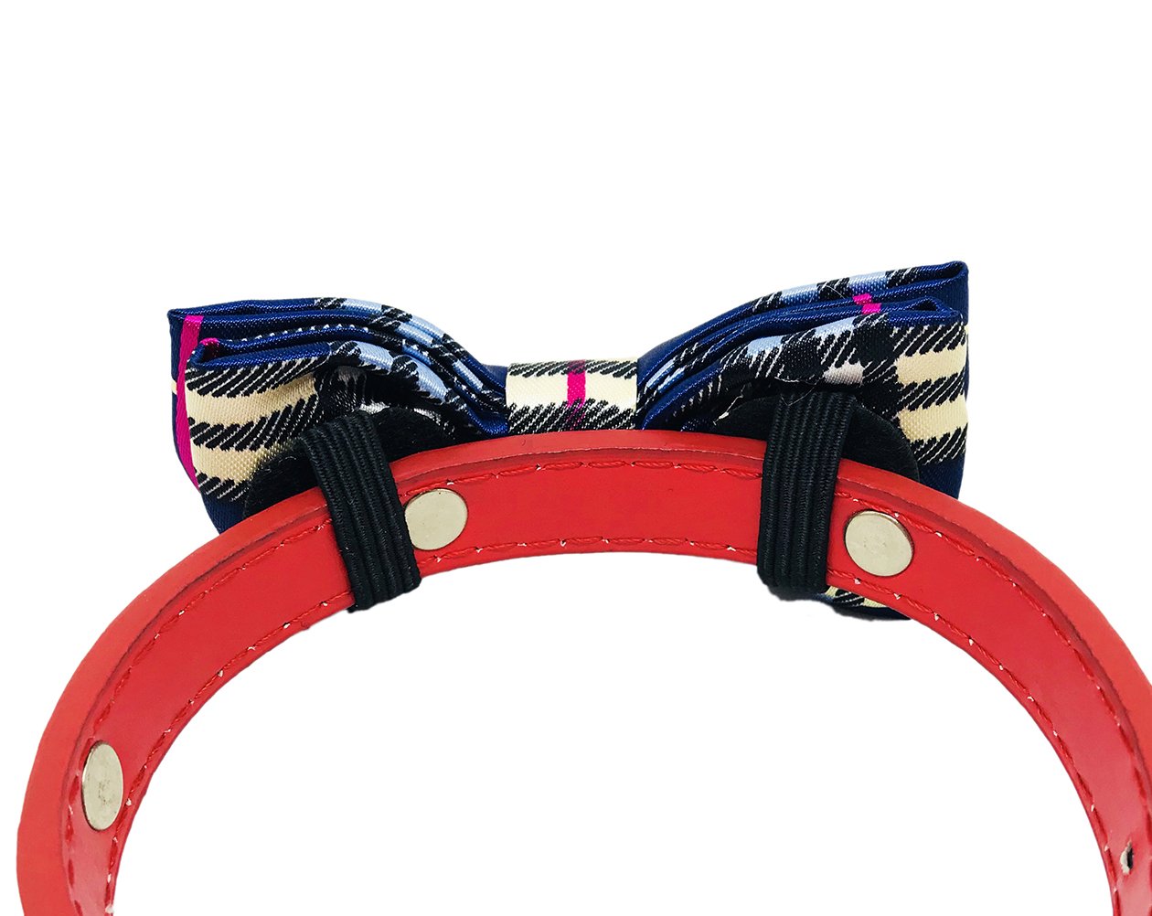 PET SHOW collar bowties dots blue add playful flair during daily outings