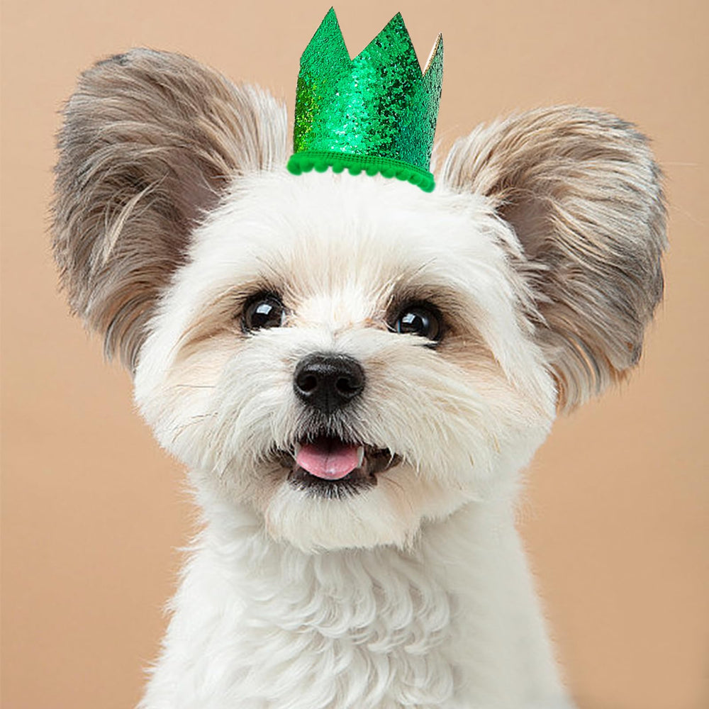 PET SHOW mini crown green hat highlights cute pet party moments