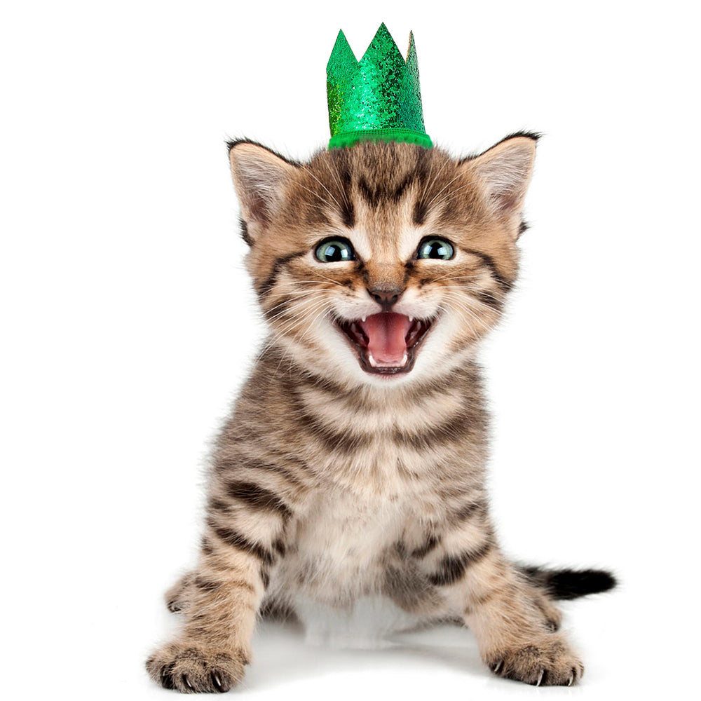 PET SHOW mini crown purple hat adds whimsical charm for holiday outfits and family photos