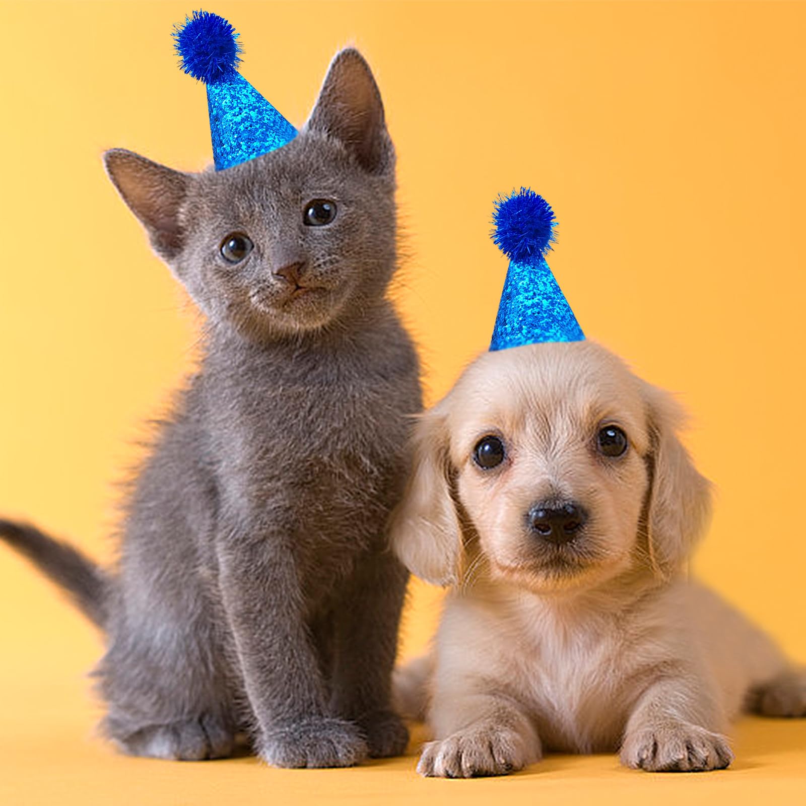 PET SHOW gold hat adds sparkle for holiday photos and cute gifts.