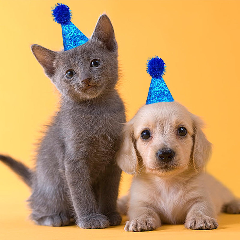 PET SHOW gold hat adds sparkle for holiday photos and cute gifts.