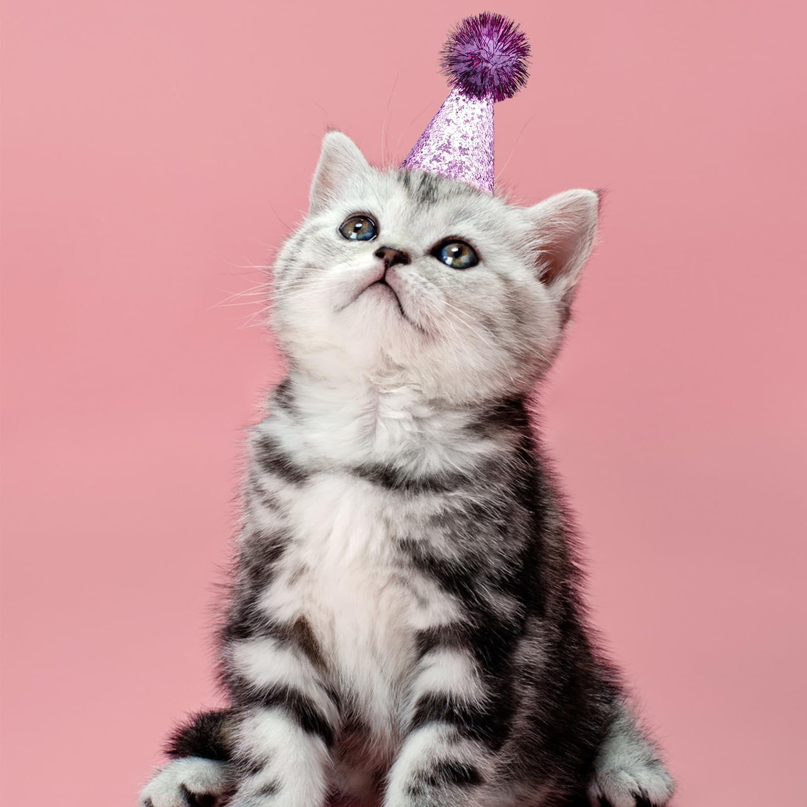 PET SHOW lavender hat creates soft, charming vibes for photo shoots.