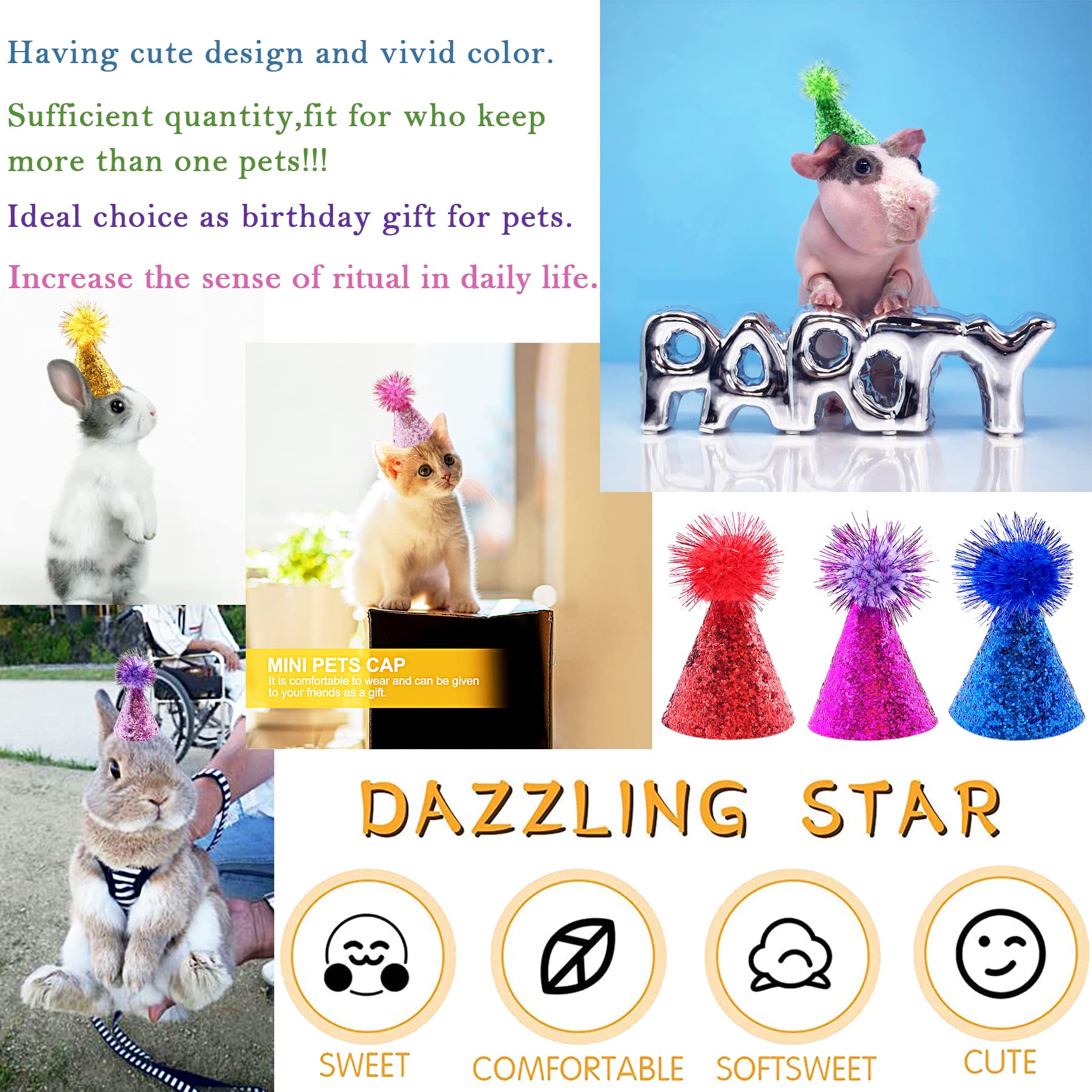 PET SHOW royalblue hat stands out at events, helping tiny pets shine in videos.