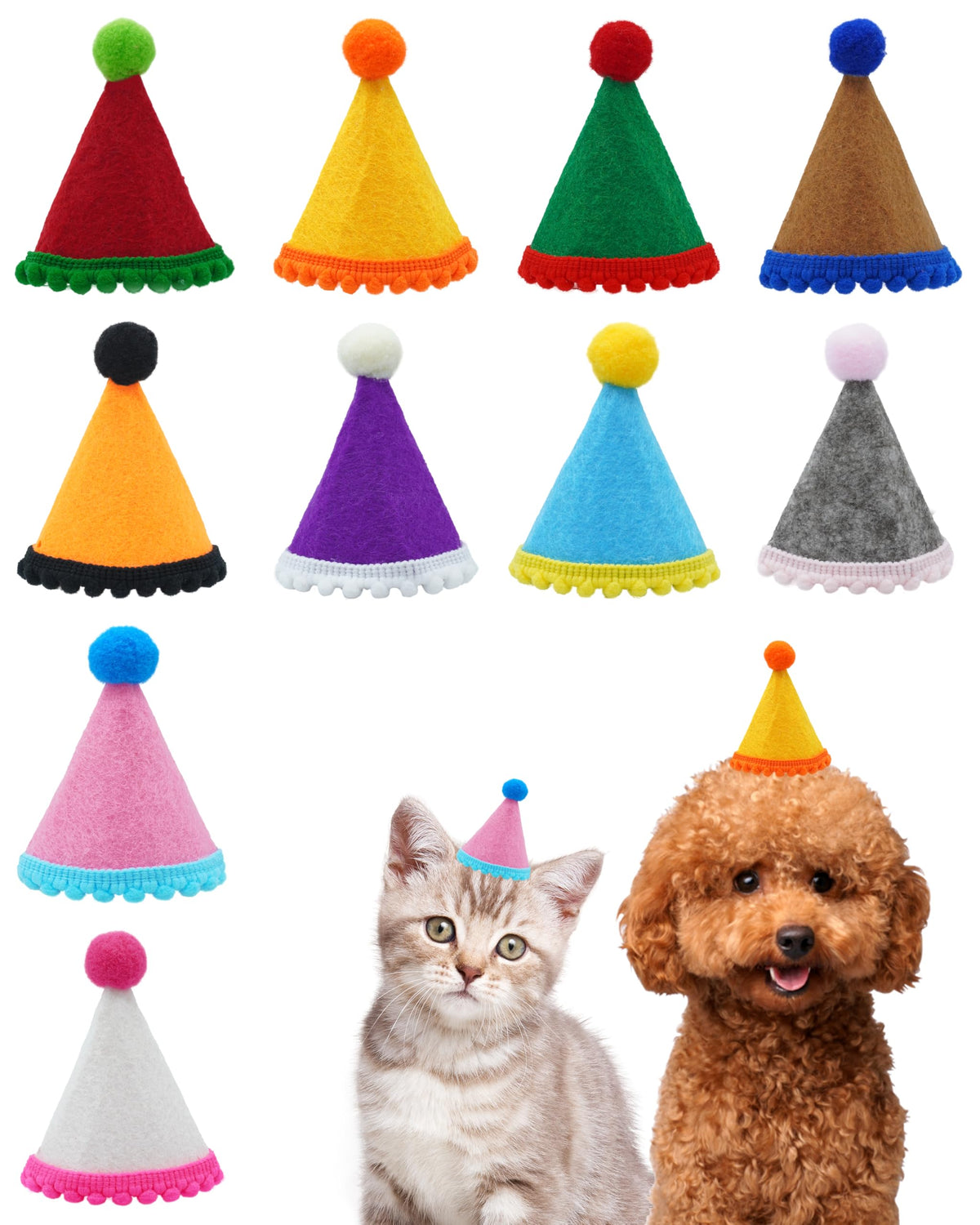 PET SHOW mini party hats in colorful hues for festive pet photos.