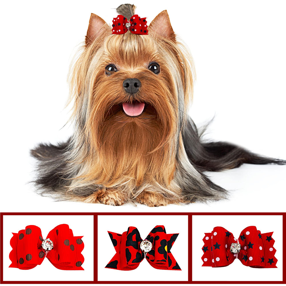 PET SHOW pack on grooming table showing variety and ease