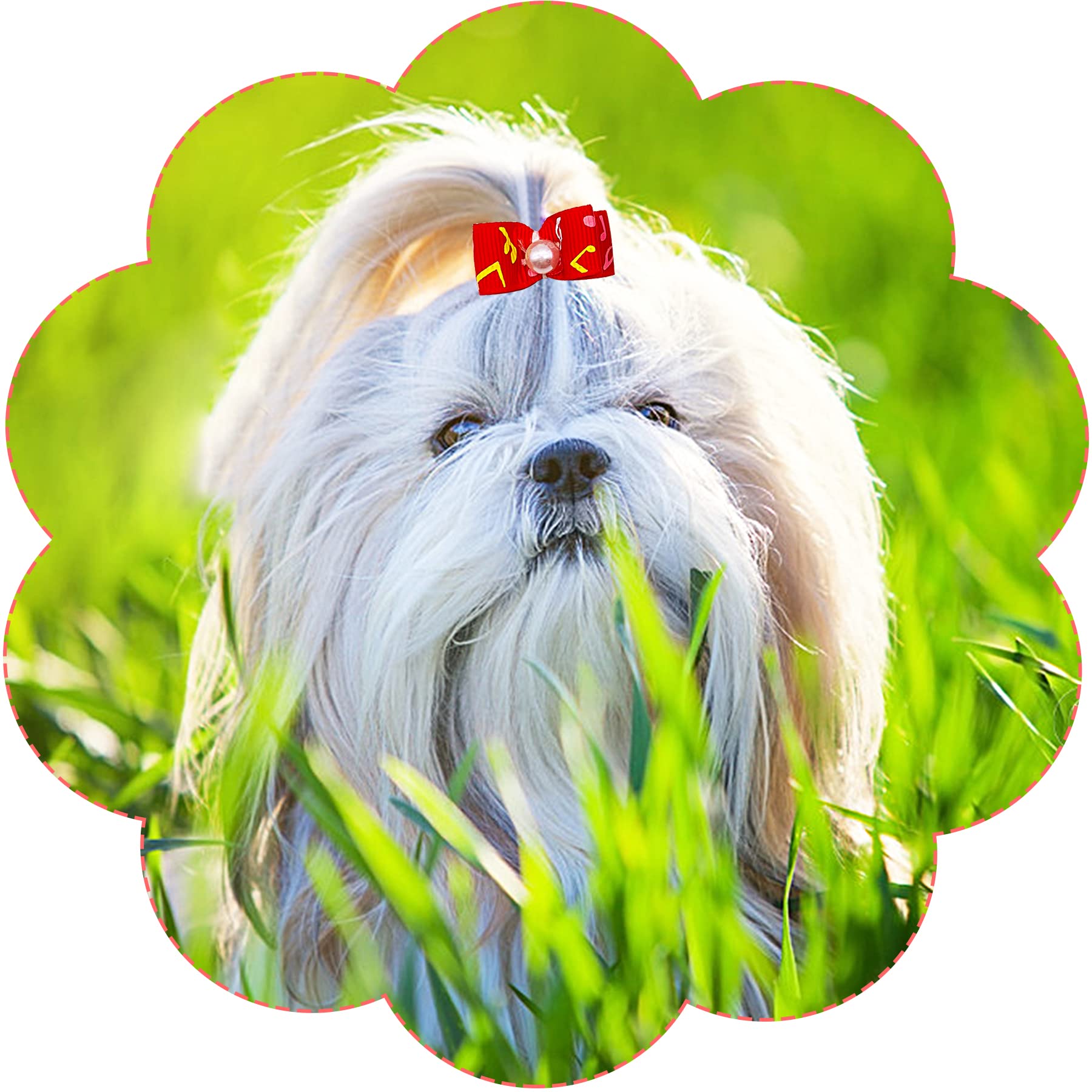 PET SHOW rubber-band attachment enables quick, comfortable fitting