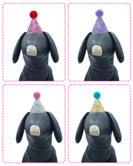 PET SHOW tiny birthday hat on a puppy for memorable parties.