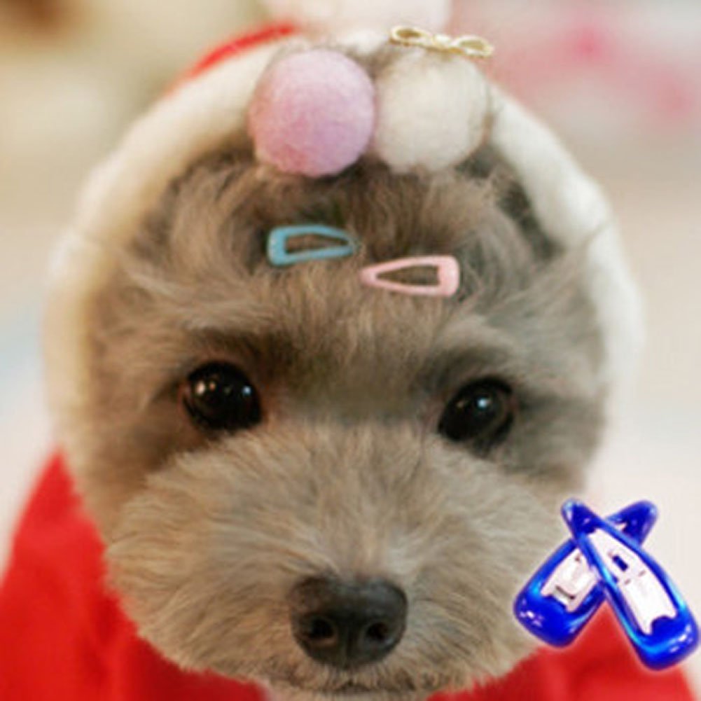 PET SHOW waterdrop clip 20-pack provides secure, stylish styling for pets.