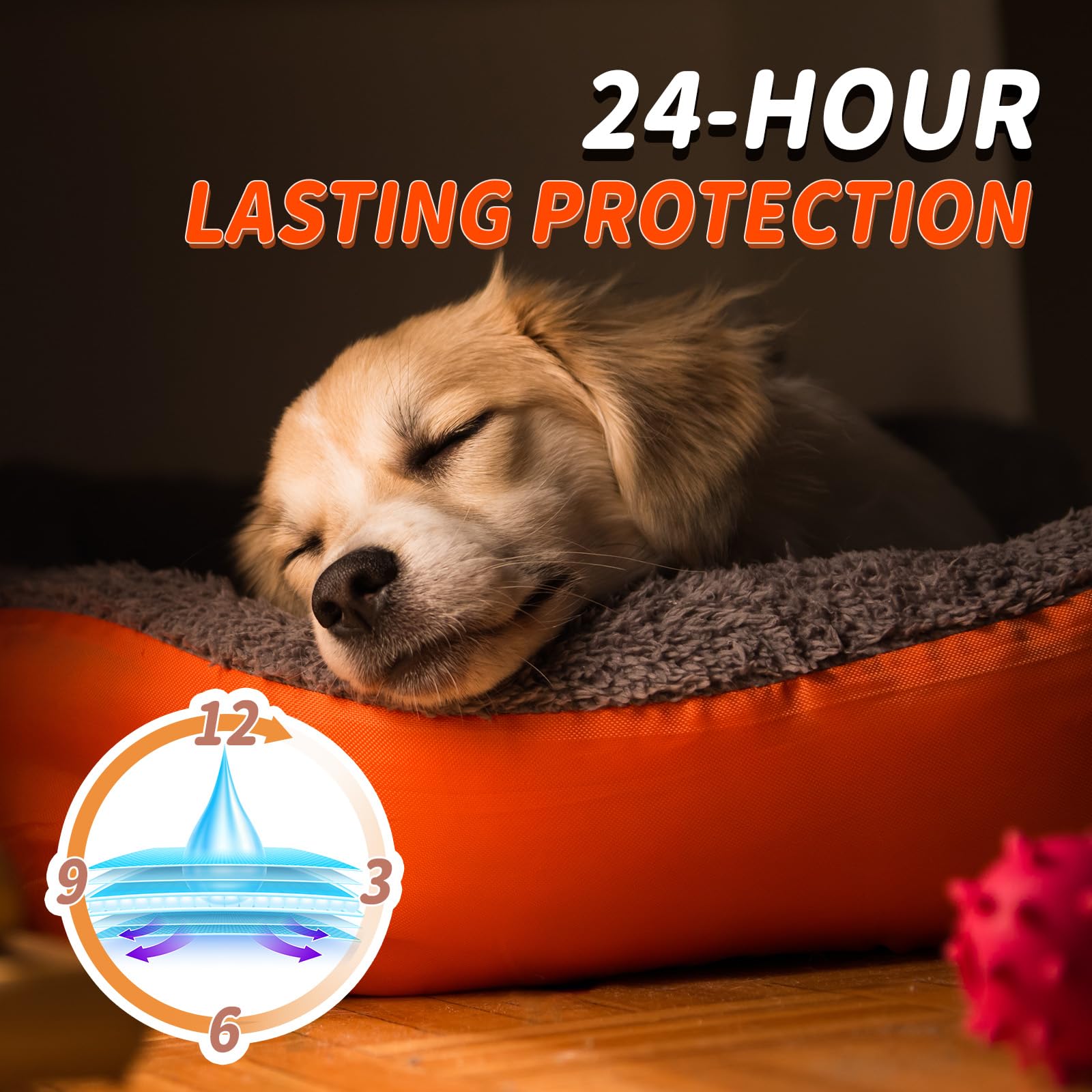 Pet Soft 24-count pack image illustrates value and routine use