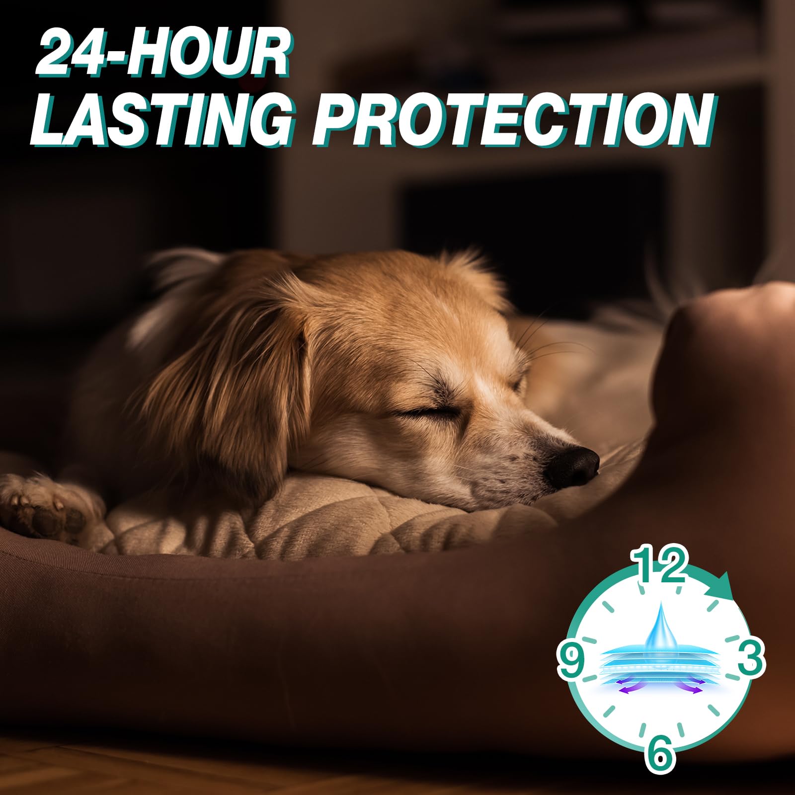 Pet Soft cat diapers floor-protection helps keep furniture clean.