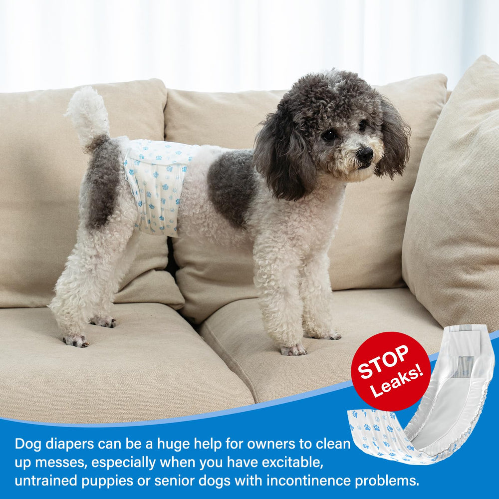 Pet Soft customer service supports shoppers with quick help.