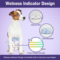 Pet Soft diapers leak-proof core keeps floors clean and mess-free